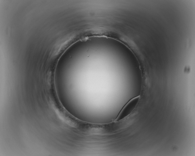 X0000113620066200909251216