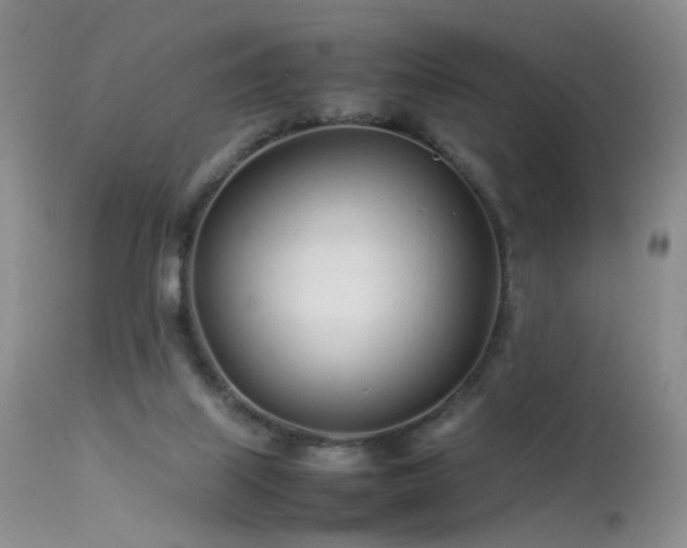 X0000113620067200909251216