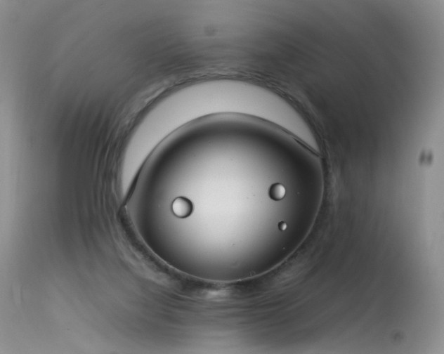 X0000113620068200909251216