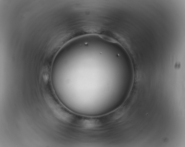 X0000113620069200909251216