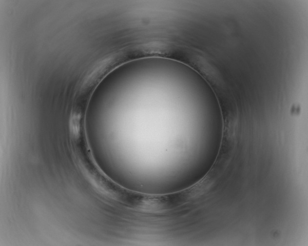 X0000113620070200909251216