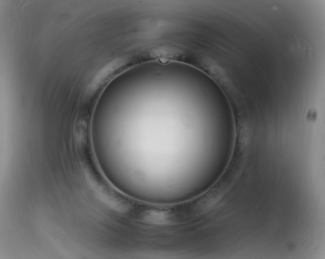 X0000113620071200909251216