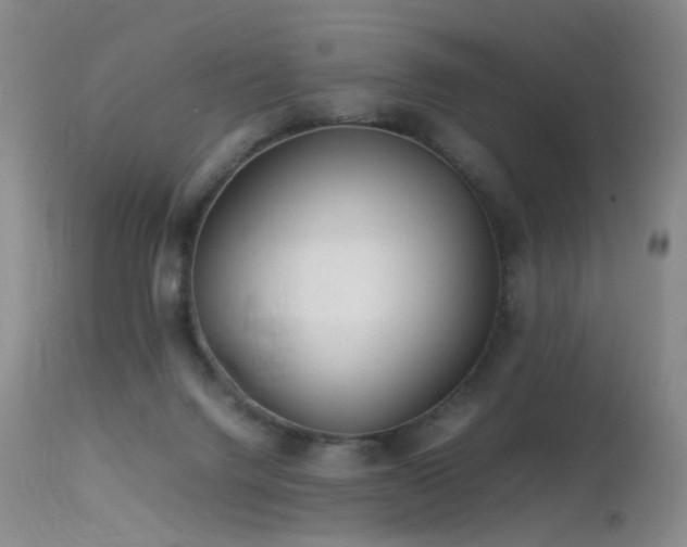 X0000113620072200909251216