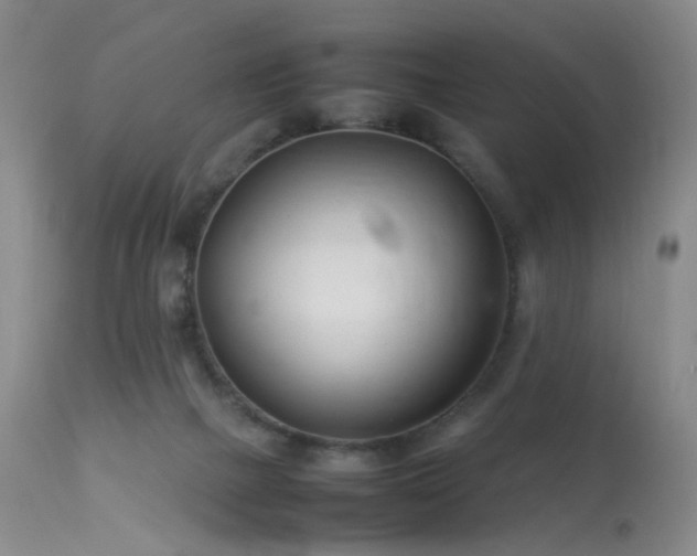 X0000113620073200909251216