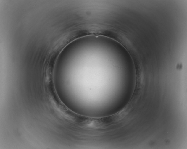 X0000113620074200909251216