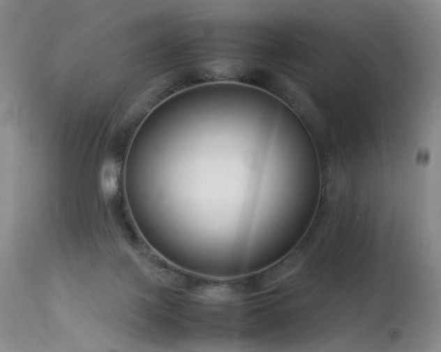 X0000113620075200909251216