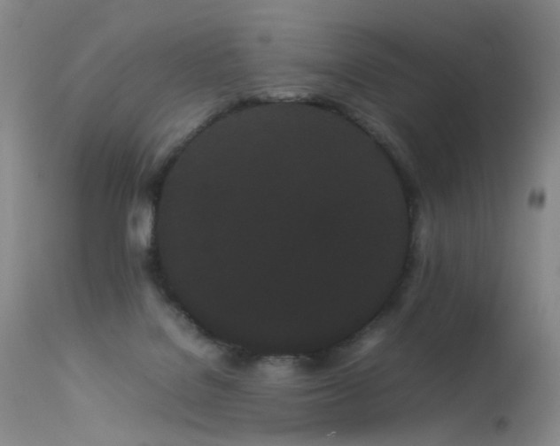 X0000113620076200909251216