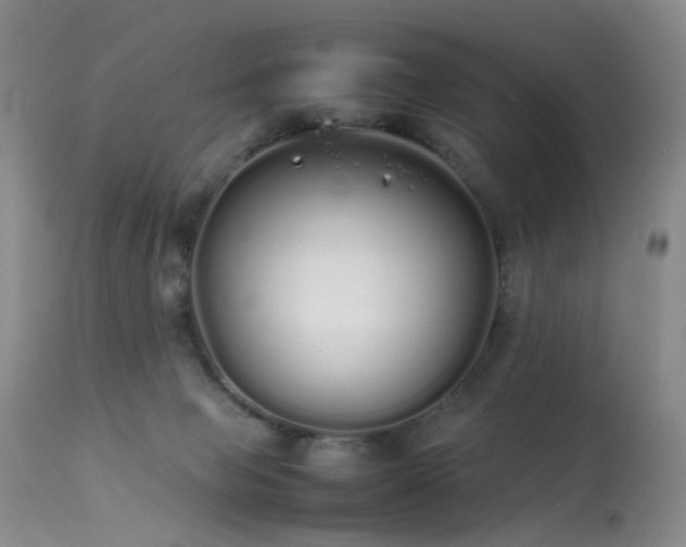 X0000113620077200909251216