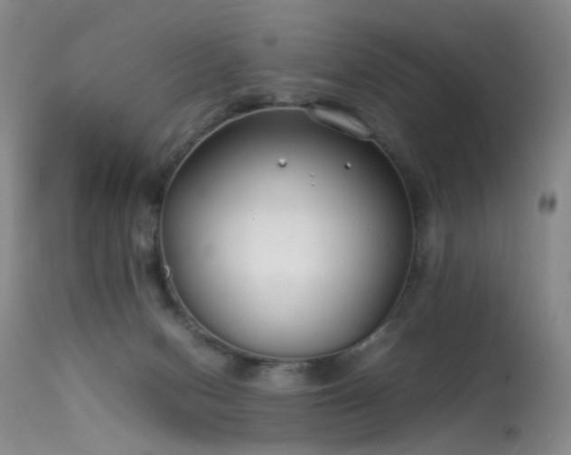 X0000113620078200909251216