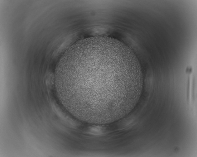 X0000113620079200909251216