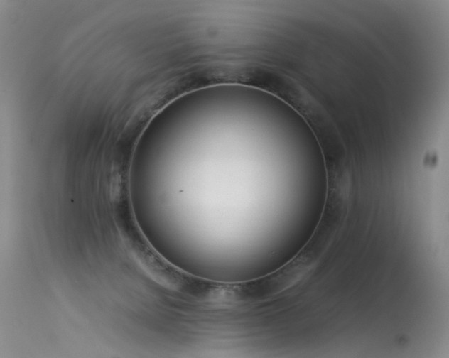 X0000113620080200909251216