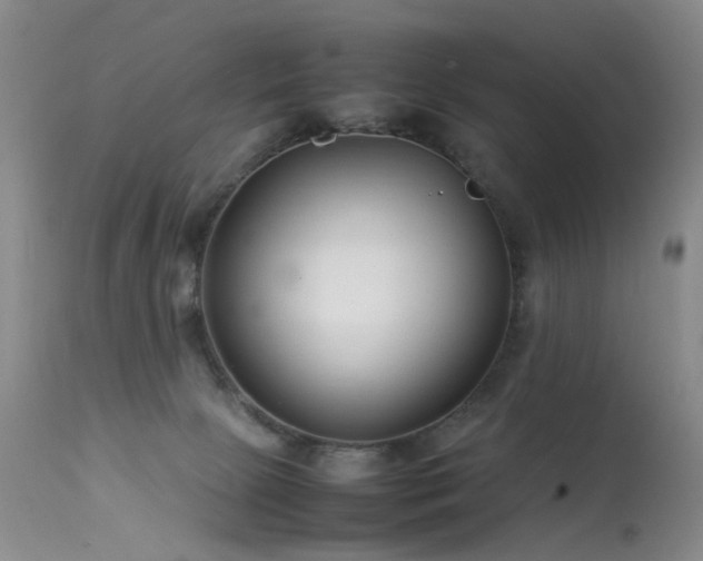 X0000113620081200909251216