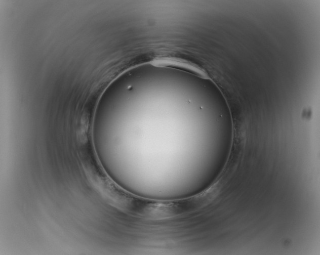 X0000113620082200909251216