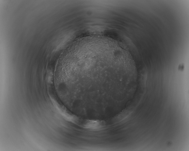 X0000113620083200909251216