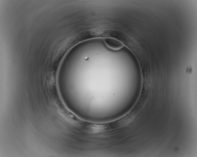 X0000113620085200909251216