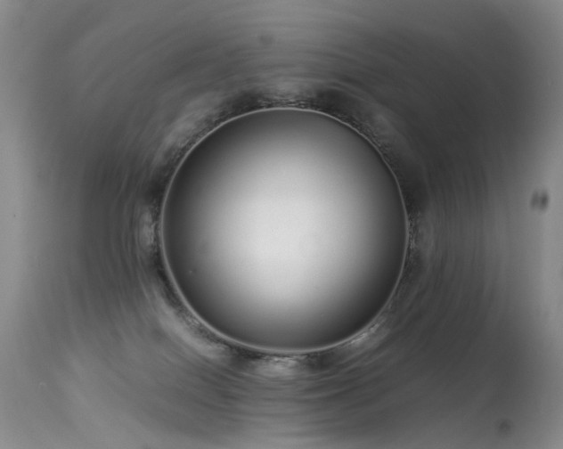 X0000113620086200909251216