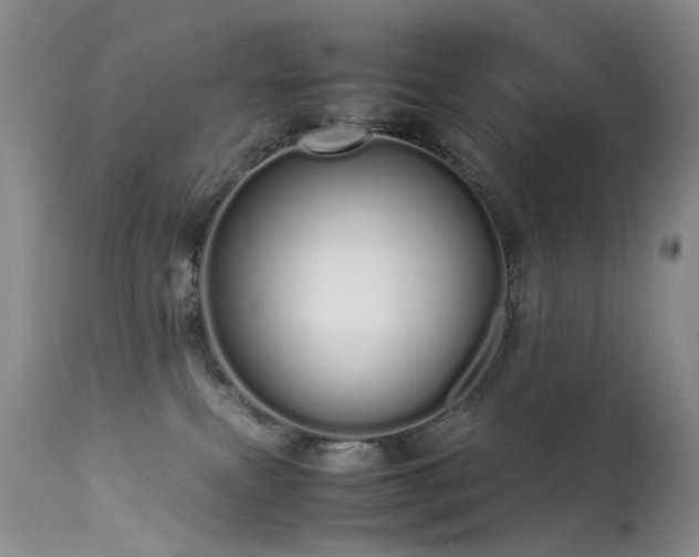 X0000113620087200909251216