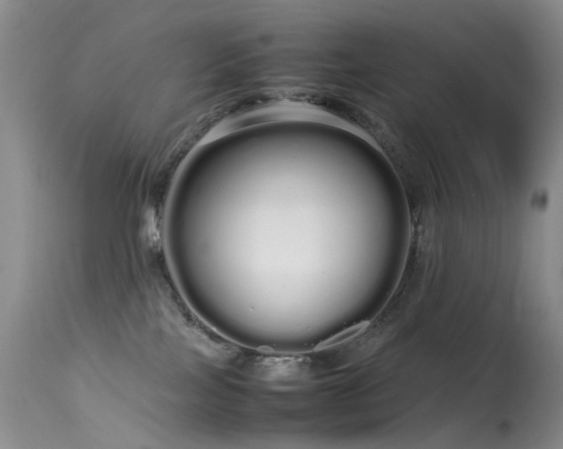 X0000113620089200909251216