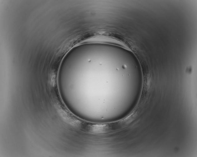 X0000113620090200909251216