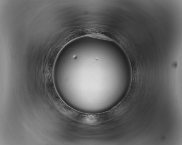 X0000113620091200909251216