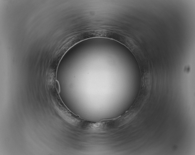 X0000113620092200909251216