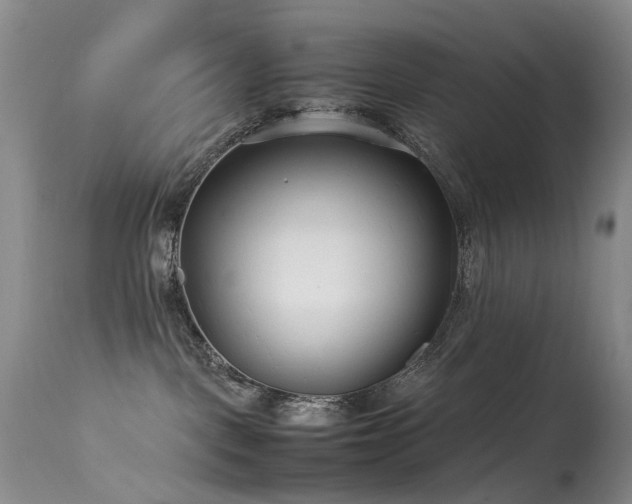 X0000113620093200909251216