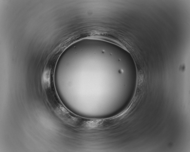 X0000113620094200909251216