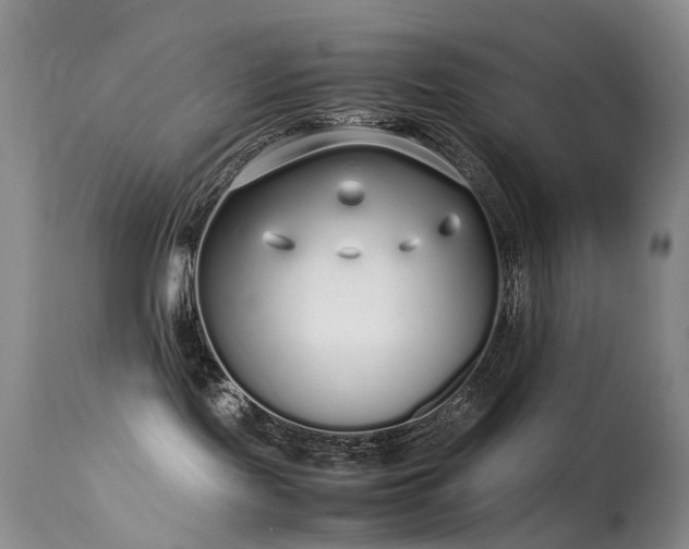 X0000113620095200909251216