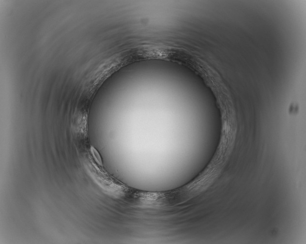 X0000113620096200909251216