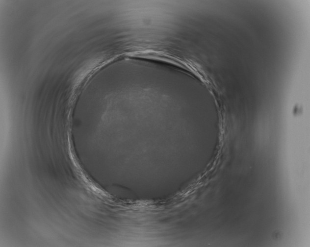 X0000113620097200909251216