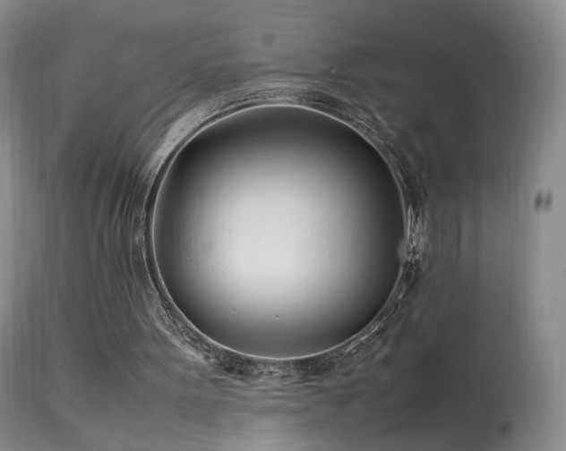 X0000113620099200909251215