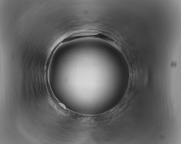 X0000113620100200909251215