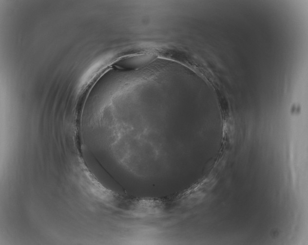 X0000113620101200909251215