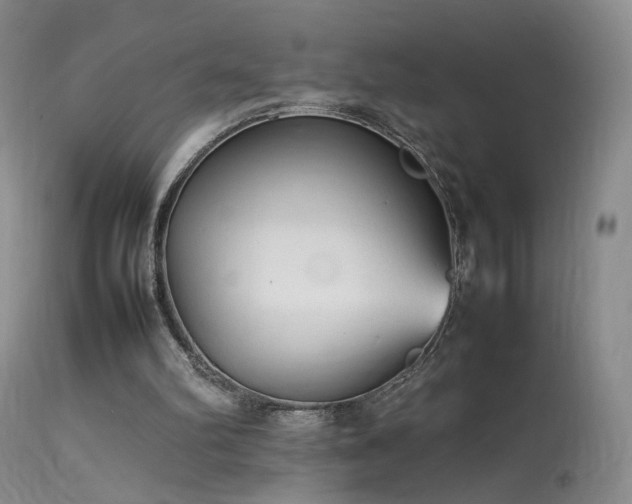 X0000113620102200909251215