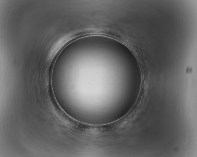 X0000113620103200909251215