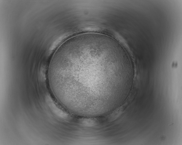 X0000113620106200909251215