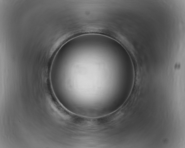 X0000113620107200909251215