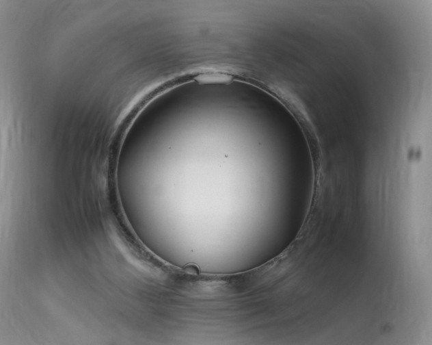 X0000113620108200909251215