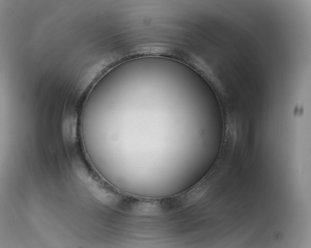 X0000113620110200909251215