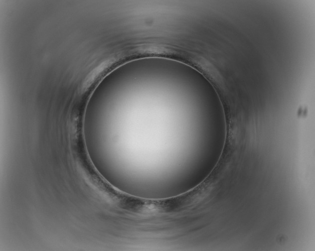 X0000113620111200909251215