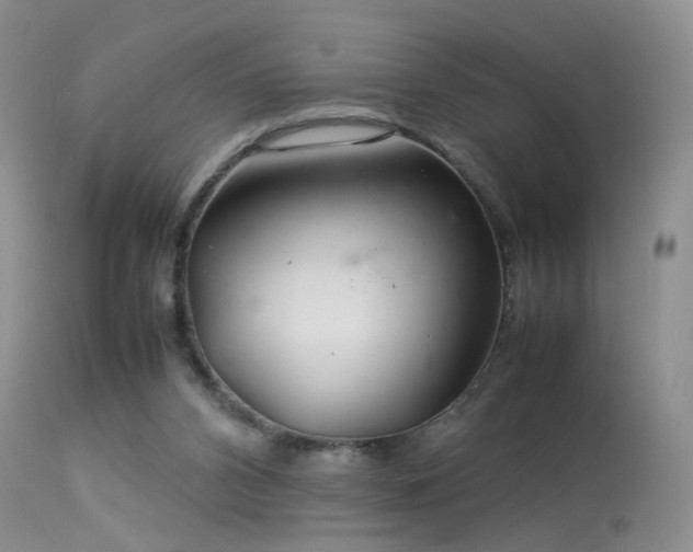 X0000113620112200909251215