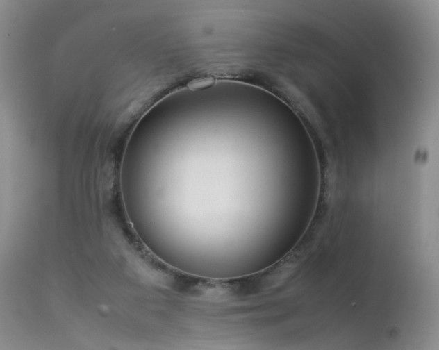 X0000113620113200909251215