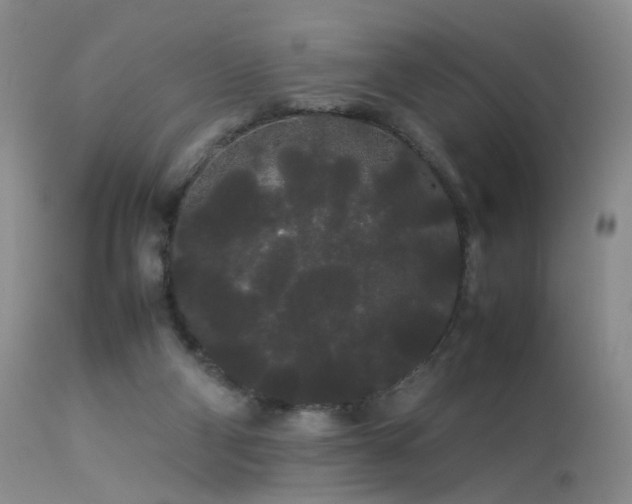 X0000113620114200909251215