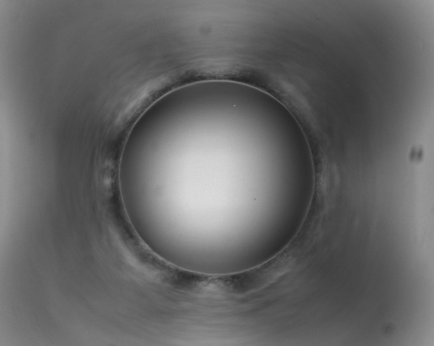 X0000113620115200909251215