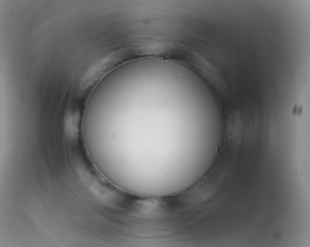 X0000113620118200909251215