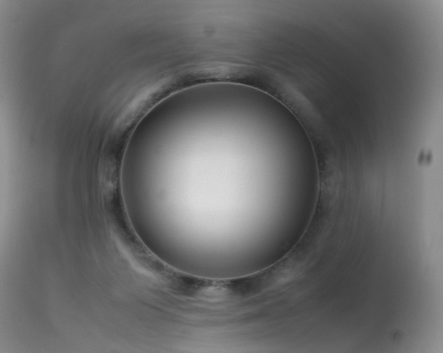 X0000113620119200909251215