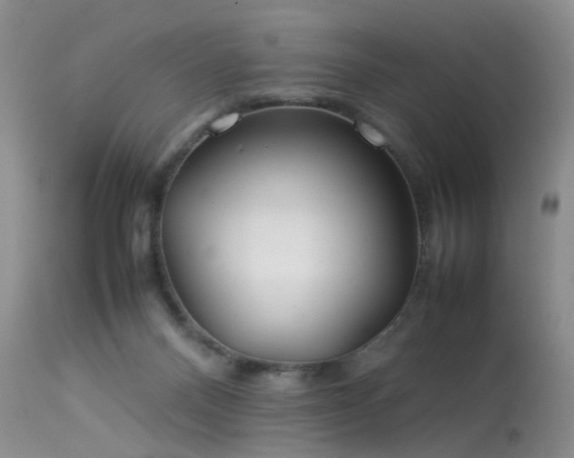 X0000113620120200909251215