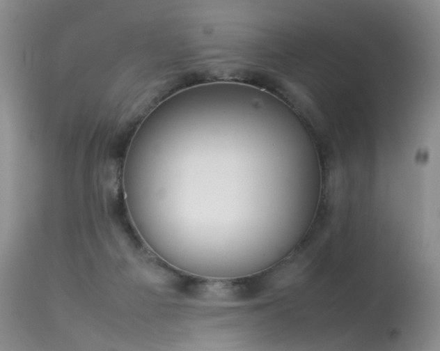 X0000113620121200909251215