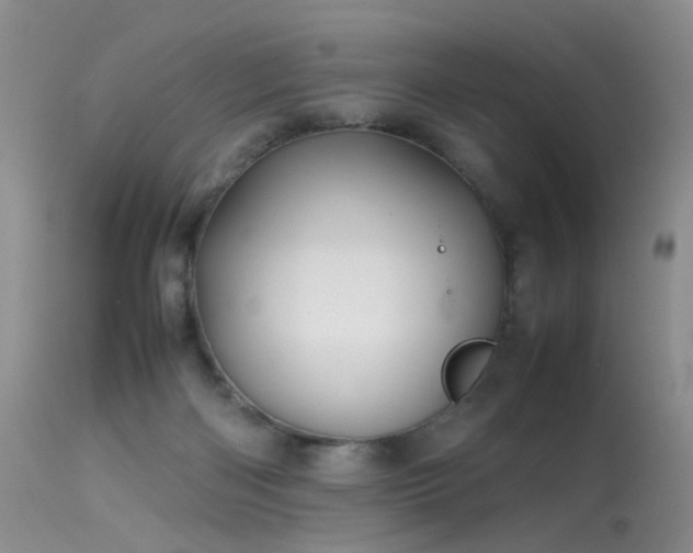 X0000113620122200909251215