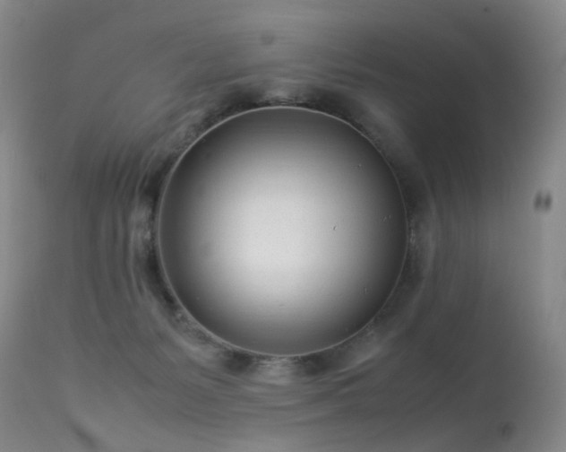 X0000113620127200909251215